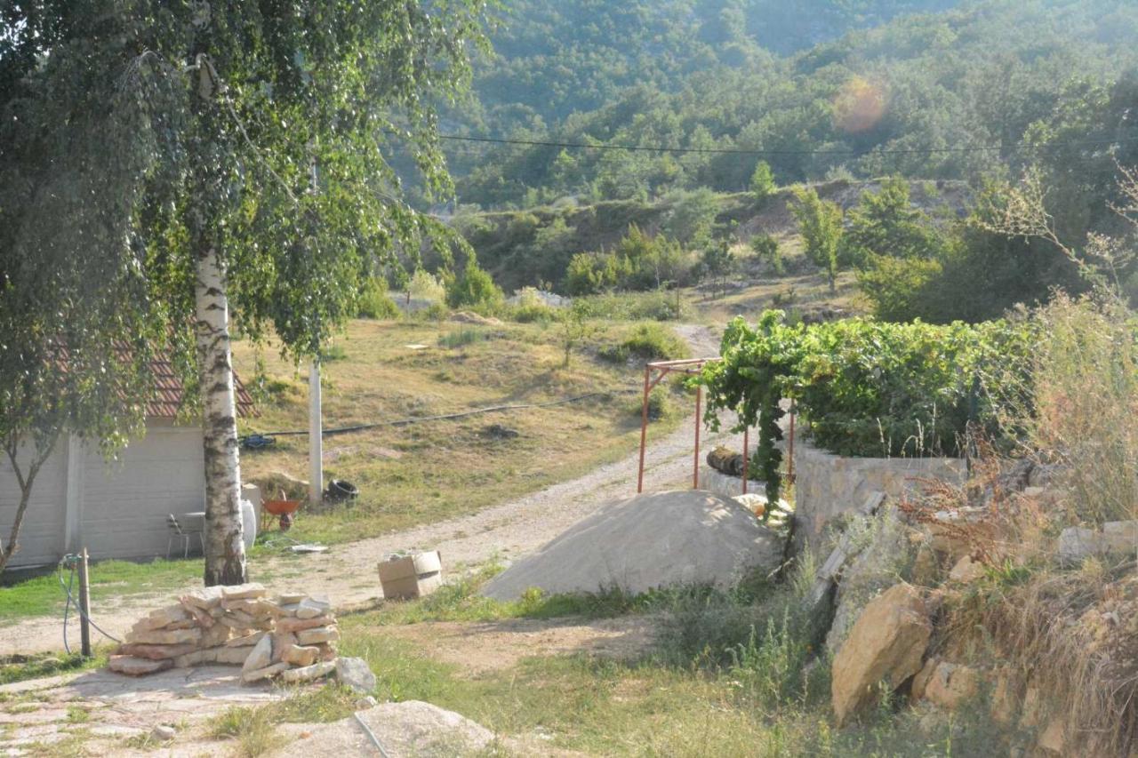 Gazdinstvo Tadic Casa de hóspedes Nikšić Exterior foto