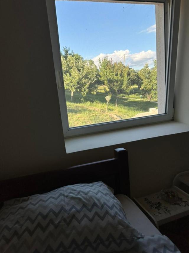 Gazdinstvo Tadic Casa de hóspedes Nikšić Exterior foto